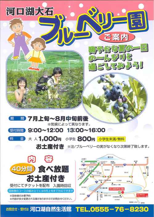 河口湖大石　ブルーベリー園
