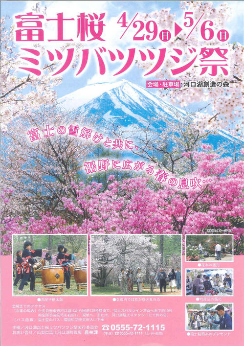 河口湖周辺イベント｜富士桜ミツバツツジまつり