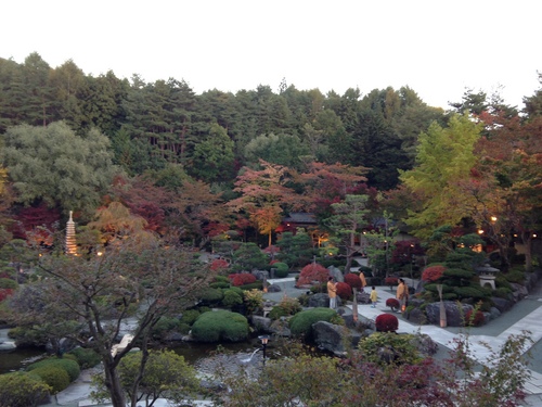 平成２４年１１月１日の庭園