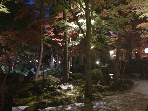 平成２４年１１月４日の庭園