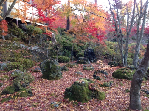 平成２４年１１月１９日の庭園