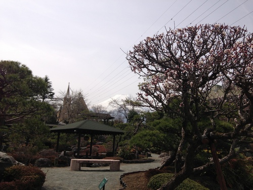 富士山温泉ホテル鐘山苑：庭園・紅梅