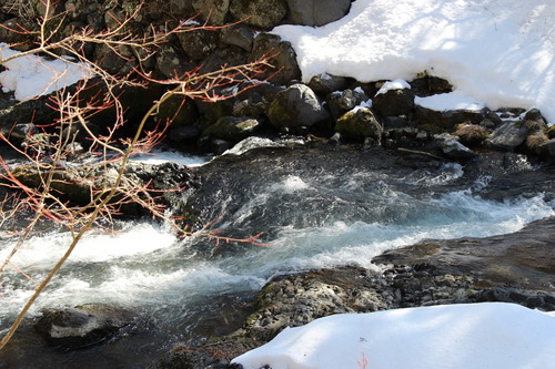 富士山温泉ホテル鐘山苑：３／１１＿９