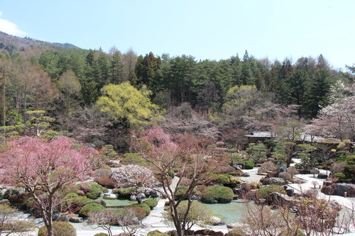 富士山温泉ホテル鐘山苑：４／１５＿１０