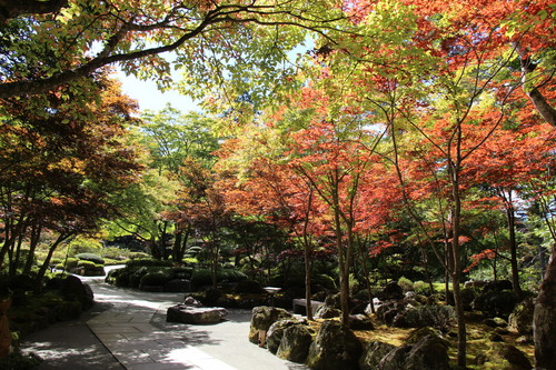 富士山温泉ホテル鐘山苑：１０／３＿１