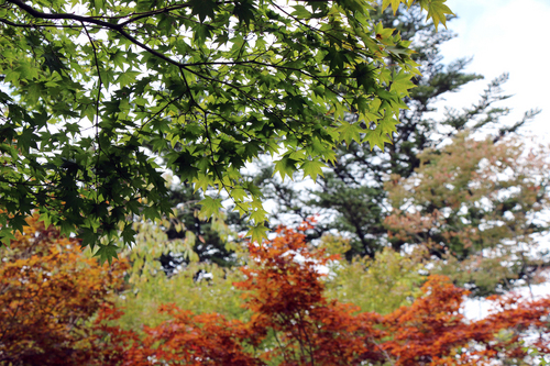 富士山温泉ホテル鐘山苑：１０／９＿８