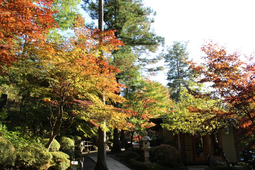 富士山温泉ホテル鐘山苑：庭園紅葉