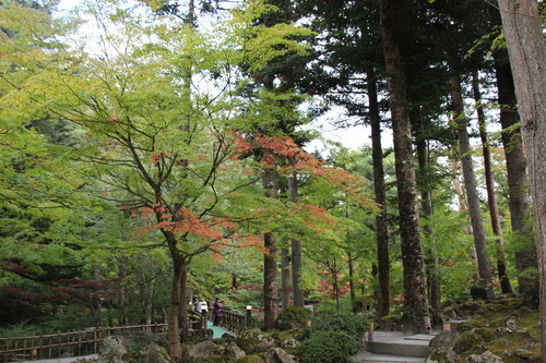 庭園紅葉