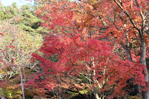 富士山温泉ホテル鐘山苑：１０／３０＿３