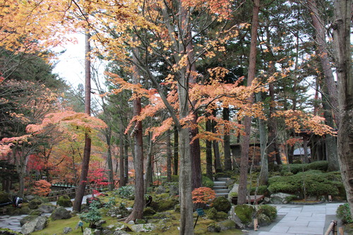 庭園紅葉