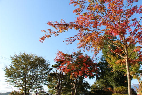 富士山温泉ホテル鐘山苑
