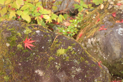 富士山温泉ホテル鐘山苑