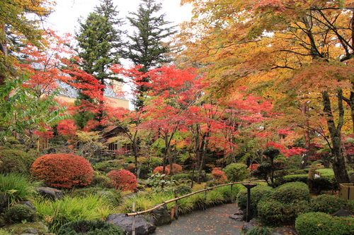 富士山温泉ホテル鐘山苑