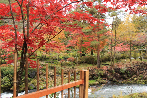 富士山温泉ホテル鐘山苑