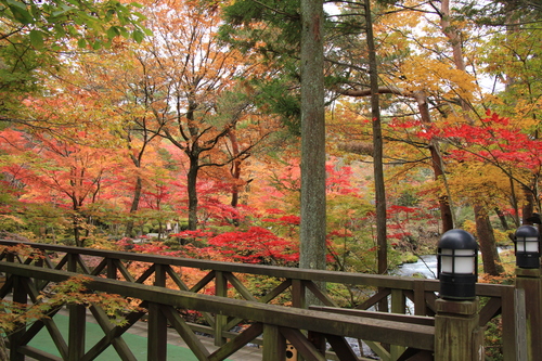 富士山温泉ホテル鐘山苑