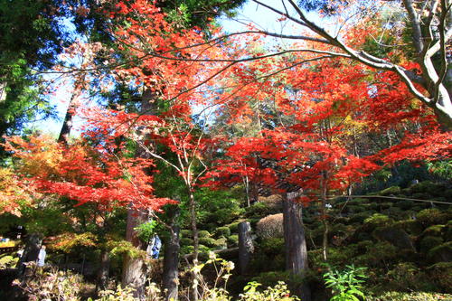庭園の紅葉情報No.25｜富士山温泉ホテル鐘山苑