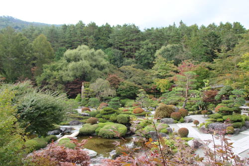 2020年庭園の紅葉情報No.1