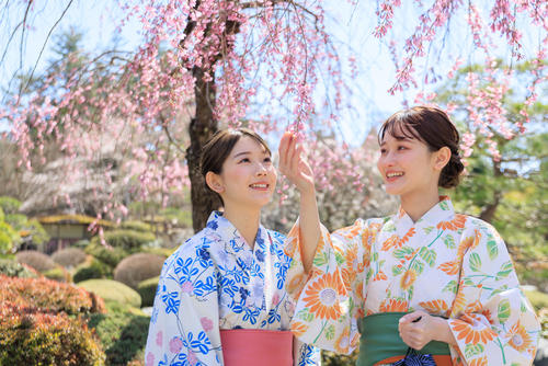 2025鐘山苑・桜まつり <br>4月10日（木）～16日（水）開催