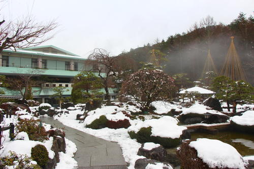 2025年庭園の梅・桜開花情報№6
