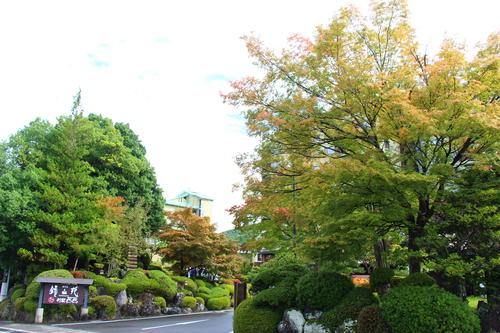 2025年庭園の紅葉情報№2