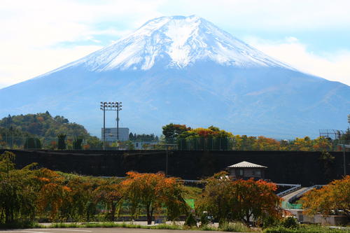 2025年庭園の紅葉情報№5