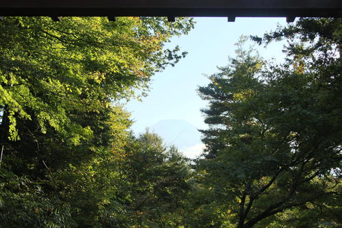 IMG_5552.JPG