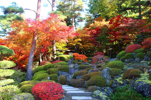 2025年庭園の紅葉情報№10