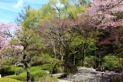 2026年庭園の梅・桜開花情報最終