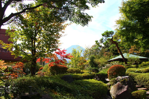 2026年庭園の紅葉情報№2