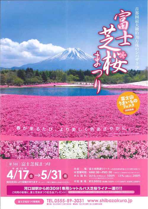 河口湖周辺イベント　　富士芝桜祭り