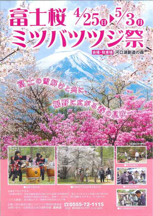 河口湖周辺イベント「富士桜ミツバツツジ祭り」