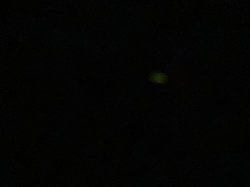 IMG-0217.jpg