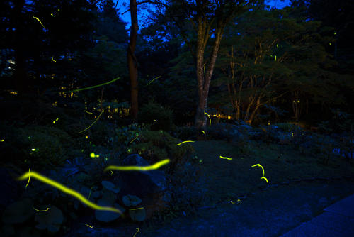 240626-1487-R.jpg