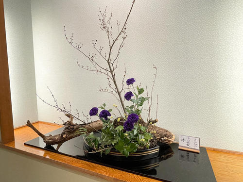 花0220b.jpeg