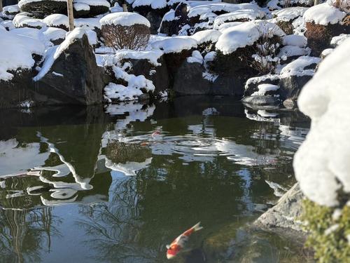 雪庭2.jpeg