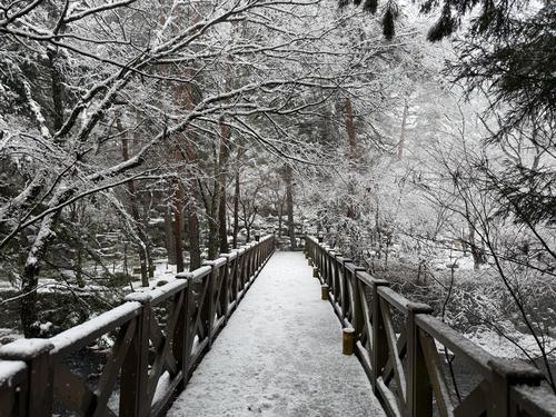写真 2026-03-03 13 15 29.jpg
