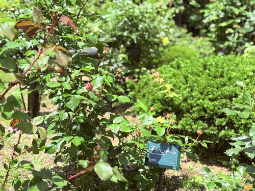 写真 2026-05-18 11 11 56.jpg