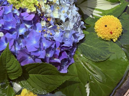 写真 2026-06-17 11 11 17.jpg